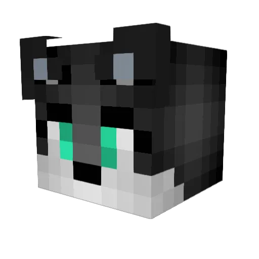 Ellie_Mc Minecraft avatar head, 3D render