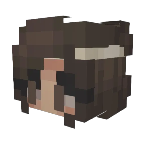 Ellie_Tiger Minecraft avatar head, 3D render