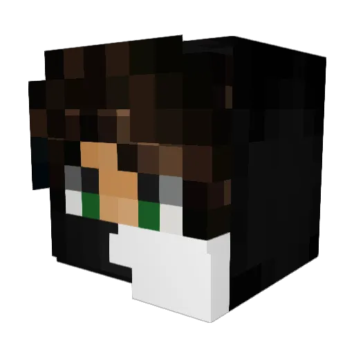 Ellie_is_HEREE Minecraft avatar head, 3D render