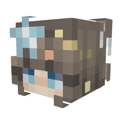 Elliecat25 Minecraft avatar head, 3D render