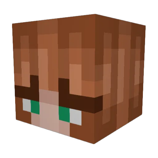 Elliecox132 Minecraft avatar head, 3D render