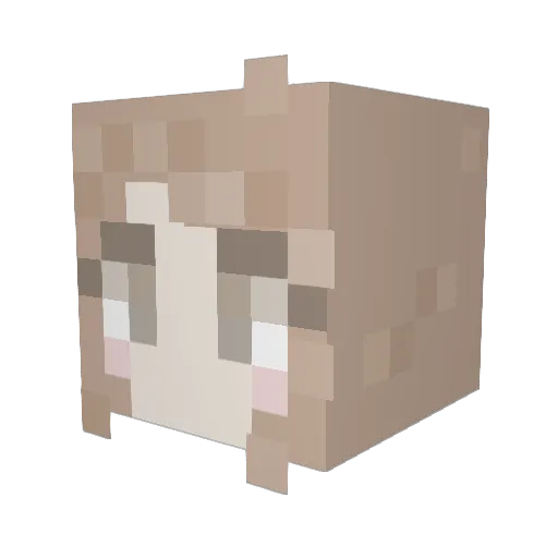 Elliemeister Minecraft avatar head, 3D render