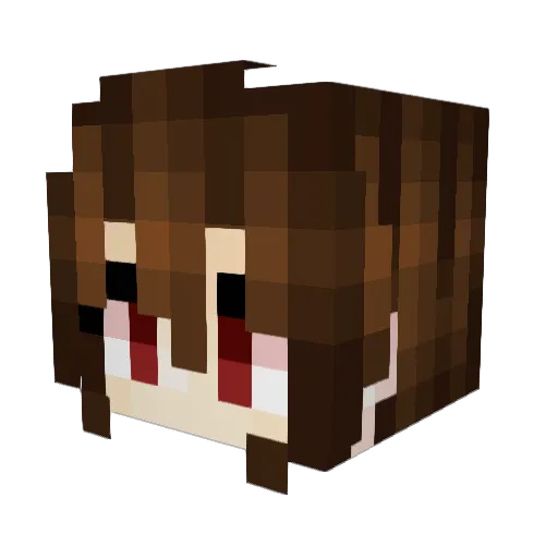 EllienA_luck Minecraft avatar head, 3D render