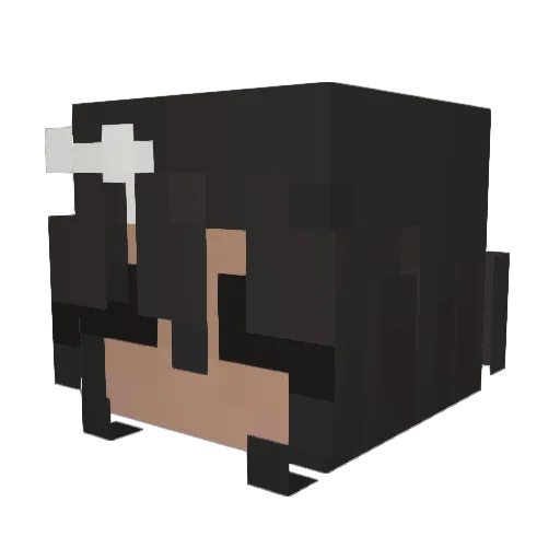 Elliewashere6 Minecraft avatar head, 3D render