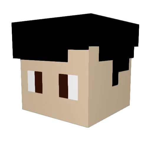 Elliewop Minecraft avatar head, 3D render