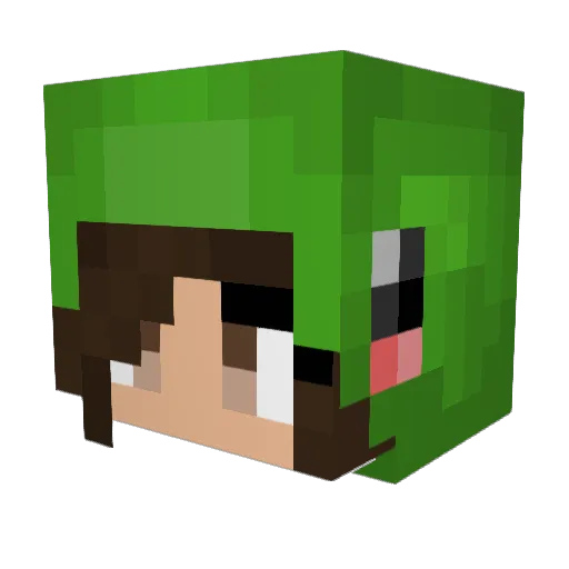Elliez Minecraft avatar head, 3D render