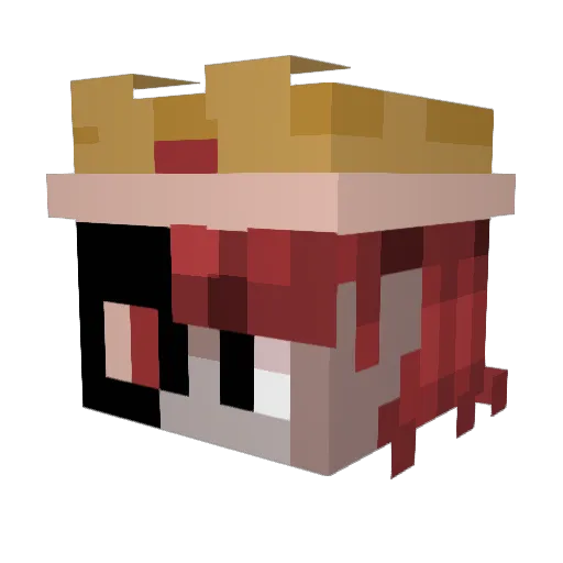 Elliorii Minecraft avatar head, 3D render