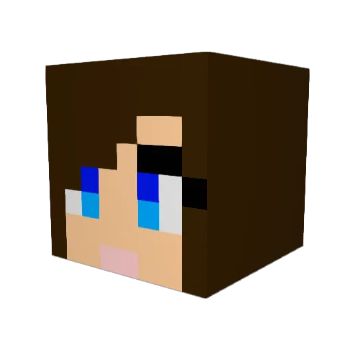 ElliotP2407 Minecraft avatar head, 3D render