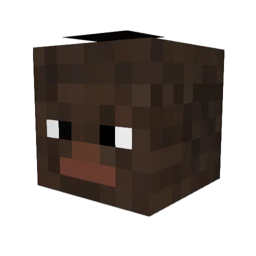 Elliotbestboi Minecraft avatar head, 3D render