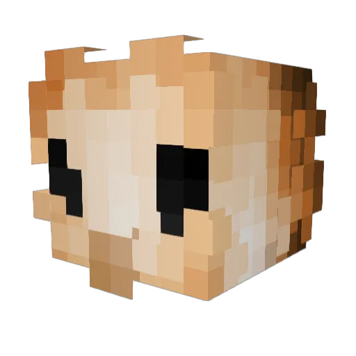 ElliottPalmisano Minecraft avatar head, 3D render