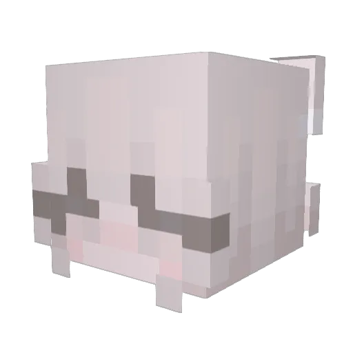 Elliottss Minecraft avatar head, 3D render