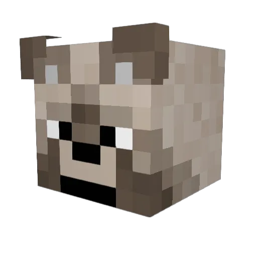 Elliotx626 Minecraft avatar head, 3D render