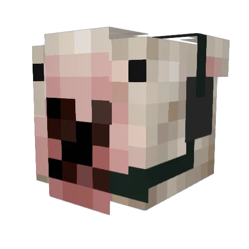 EllipticSkillZ Minecraft avatar head, 3D render