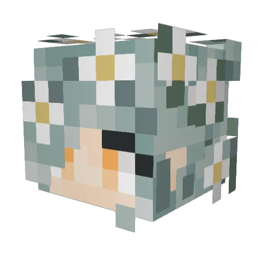 Elliryanna Minecraft avatar head, 3D render