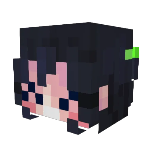Ellis2714 Minecraft avatar head, 3D render