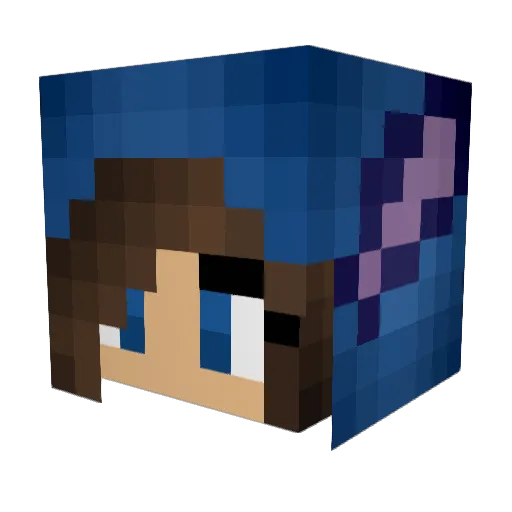 EllisFoxx Minecraft avatar head, 3D render