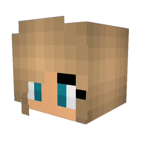 Ellix2011 Minecraft avatar head, 3D render