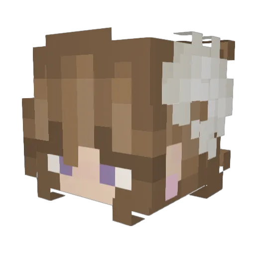 Ellixire Minecraft avatar head, 3D render