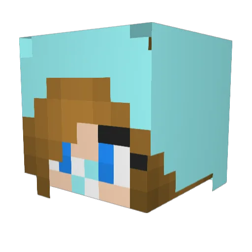 Ellren22 Minecraft avatar head, 3D render