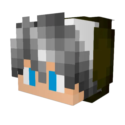 EllsBells69 Minecraft avatar head, 3D render