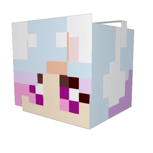 Ellsi24 Minecraft avatar head, 3D render