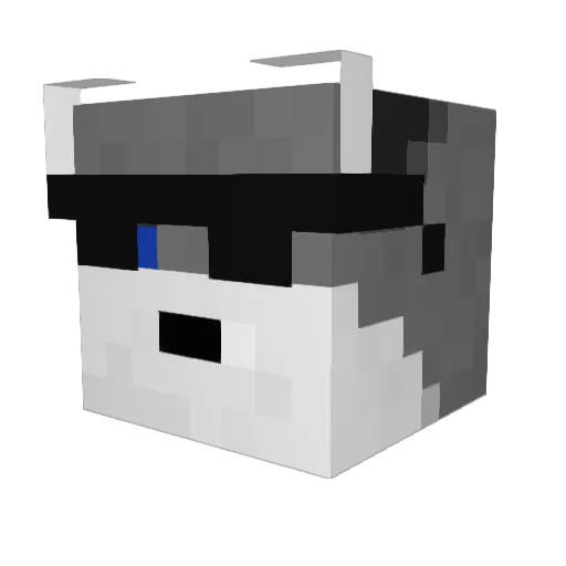 Ellskull189 Minecraft avatar head, 3D render