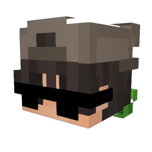 EllsworthSmith Minecraft avatar head, 3D render