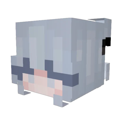 Ellwi Minecraft avatar head, 3D render