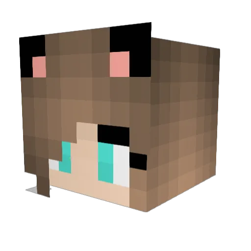 Ellwoodz Minecraft avatar head, 3D render