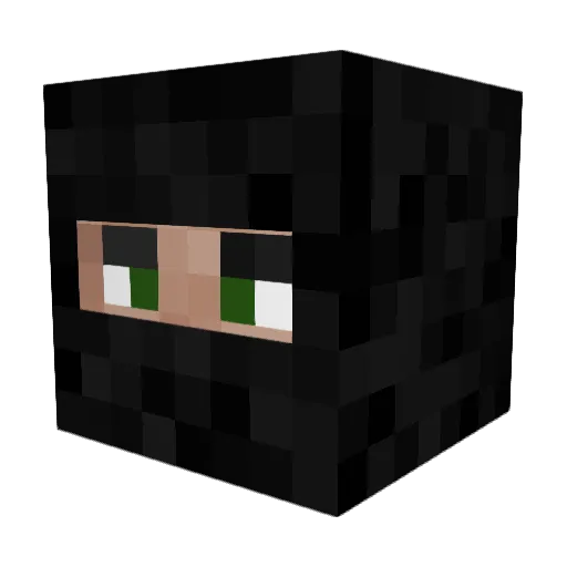 Ellxss Minecraft avatar head, 3D render
