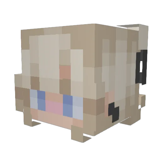 EllyNarwolf Minecraft avatar head, 3D render