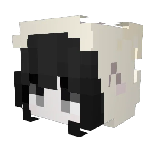 Ellyoji016 Minecraft avatar head, 3D render