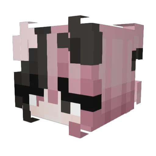 Ellythekitty Minecraft avatar head, 3D render