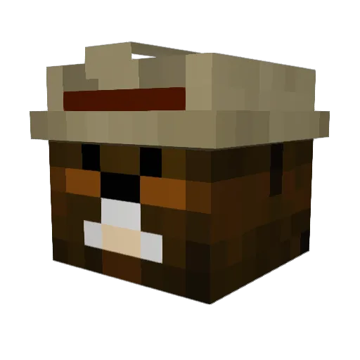 Ellyy Minecraft avatar head, 3D render