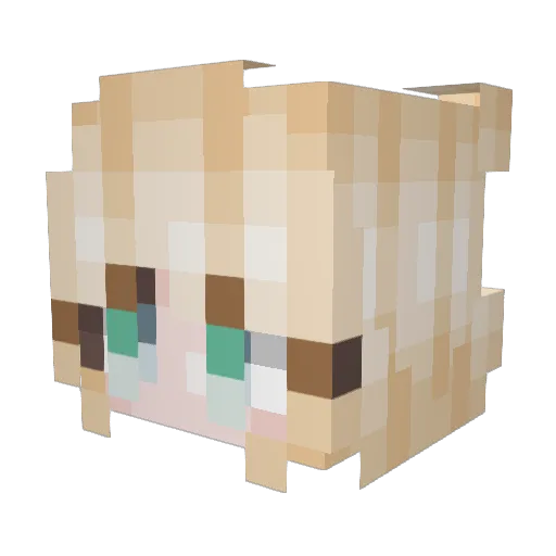 Ellzy7 Minecraft avatar head, 3D render