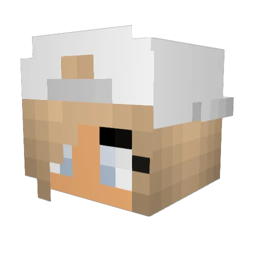 Elmander123 Minecraft avatar head, 3D render