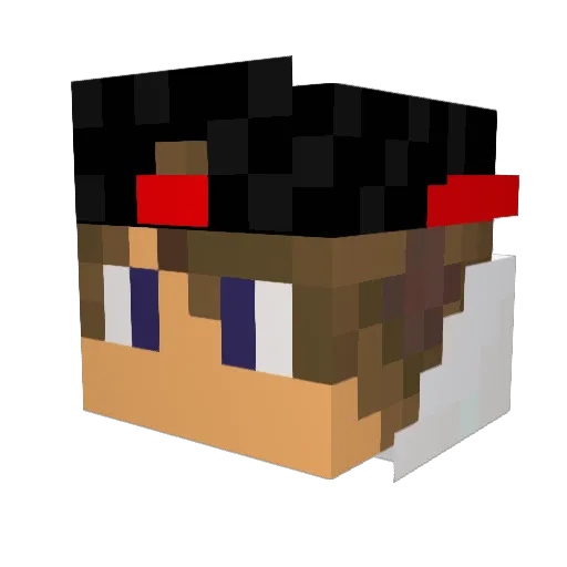 Elmo55 Minecraft avatar head, 3D render