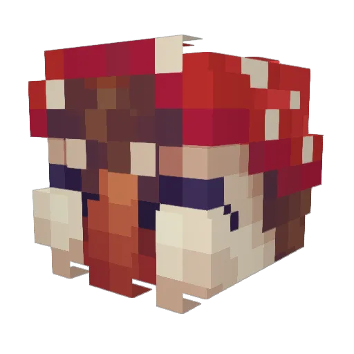 Elnar7 Minecraft avatar head, 3D render