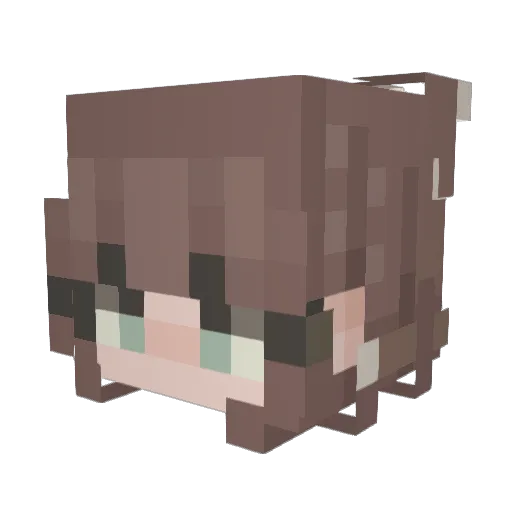 Elo1109 Minecraft avatar head, 3D render