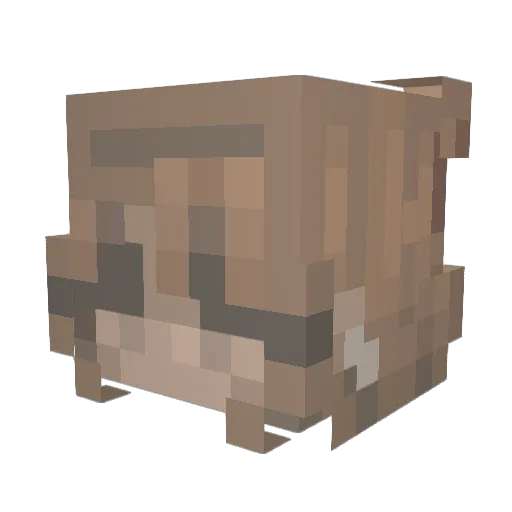 EloGiven_ Minecraft avatar head, 3D render