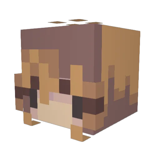 Elojas_ Minecraft avatar head, 3D render