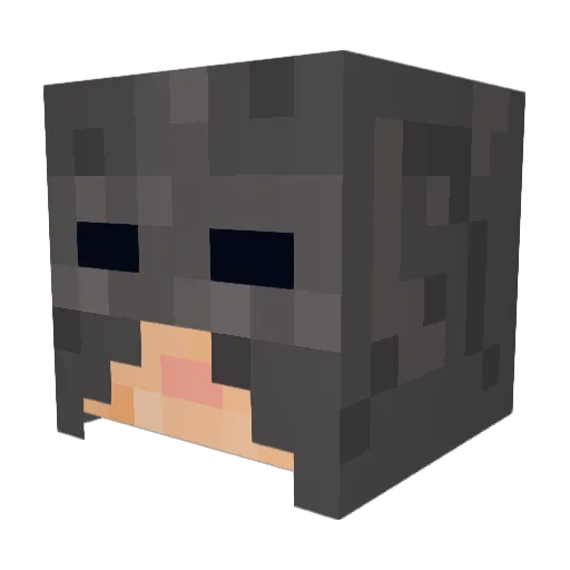 ElonMuskSimp Minecraft avatar head, 3D render