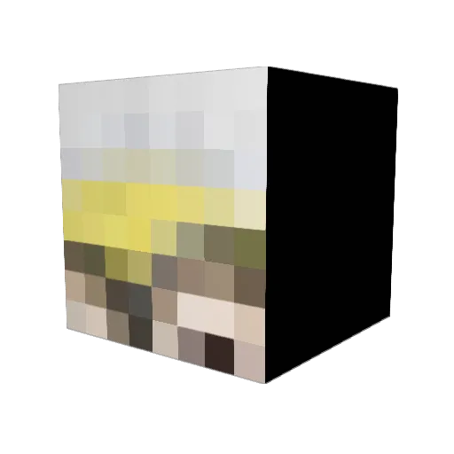 ElongatedFart Minecraft avatar head, 3D render