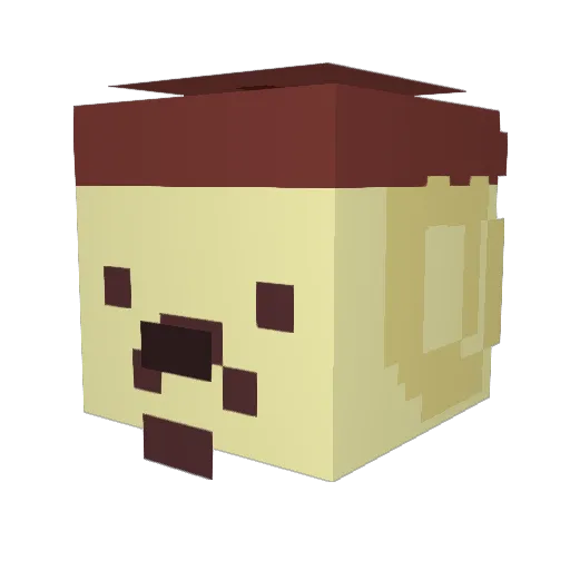 ElongatedFetus Minecraft avatar head, 3D render