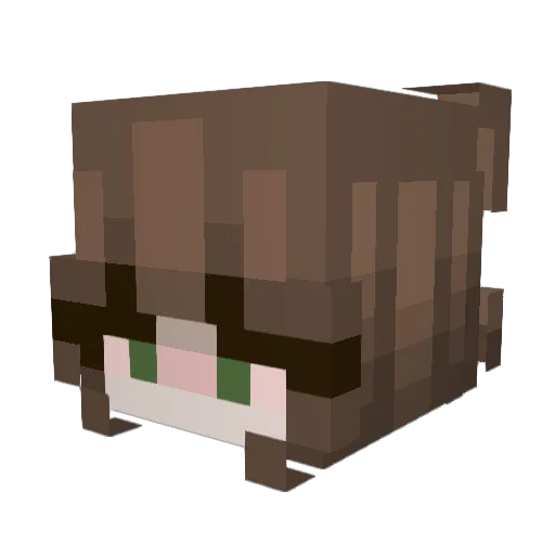Eloquxnce Minecraft avatar head, 3D render