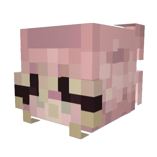 Eloryn2212 Minecraft avatar head, 3D render