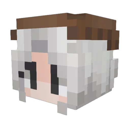 Elowen1 Minecraft avatar head, 3D render