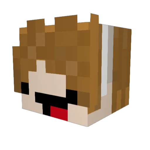 Elpapaya Minecraft avatar head, 3D render