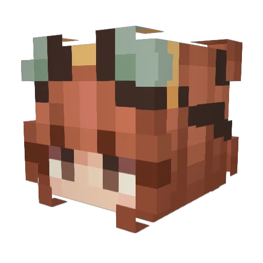Elpedia Minecraft avatar head, 3D render