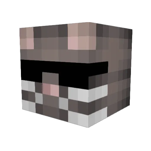 Elper13 Minecraft avatar head, 3D render